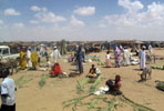 As Attention Focuses on South, Ominous Developments in Darfur
